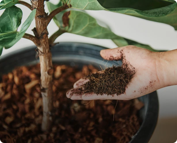 corretivos-organicos